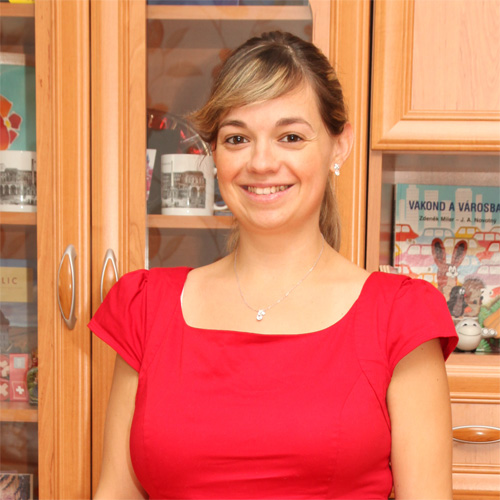 Bozsik Nikolett - Közgazdász